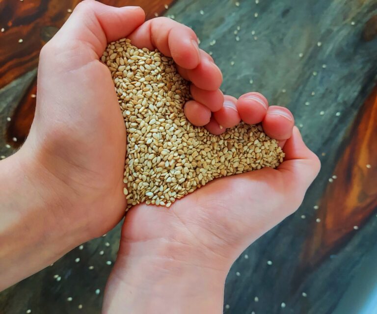 Read more about the article Sesame Seeds- Tiny Treasure to Improve Your Sleep